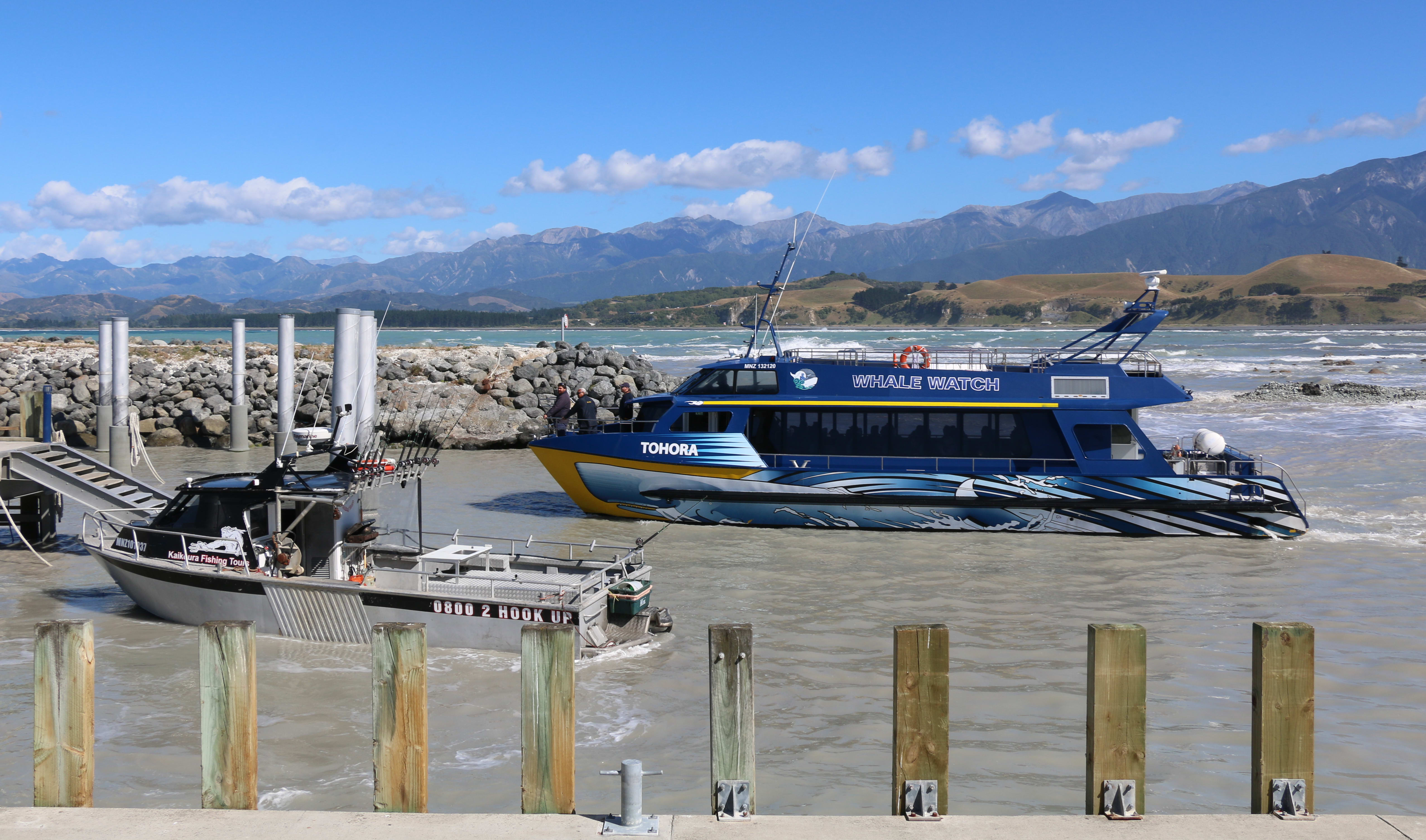 Whale Watch and Kaikoura Fishing Tours at the South Bay marina on 20 January 2017.