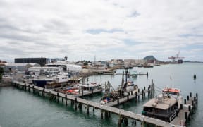 Tauranga Marine Precinct at Sulphur Point.