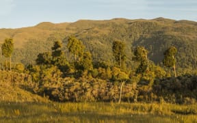 The proposed mine site at Mt Te Kuha near Westport Photo Neil Silverwood