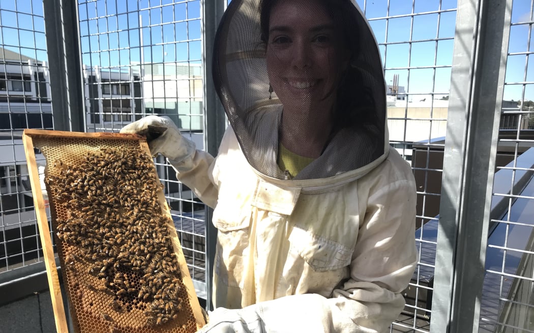 A woman in a beekeeping suit and gloves holds up a rectangular brood frame from a hive covered with honey bees.