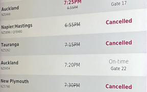 A slew of flights have been cancelled or delayed at Wellington Airport amid high winds.