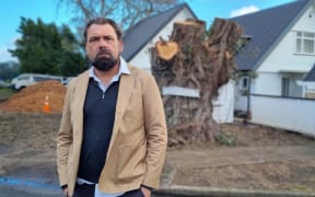 Award-winning designer Michael Mansvelt says the destruction of a 100-year-old pōhutukawa tree in New Plymouth is 'a travesty'.