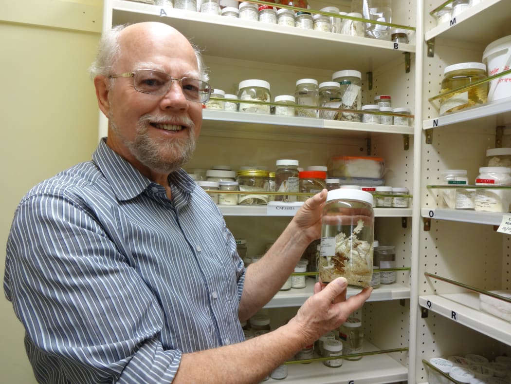Taxonomist Dennis Gordon with a rasta coral, a gorgonian octocoral called Narella hypsocalyx Cairns, at NIWA's type collection. The coral was formally named by Smithsonian taxonomist Stephen Cairns in 2012.