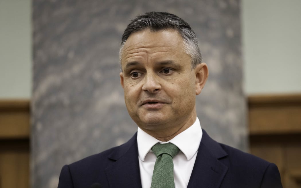 Green Party co-leader James Shaw