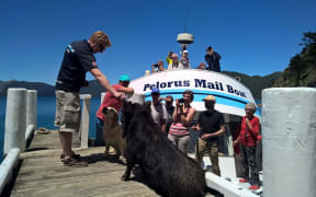 Pelorus Mail Boat
