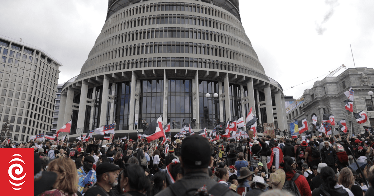 What now for the Treaty Principles Bill? RNZ News