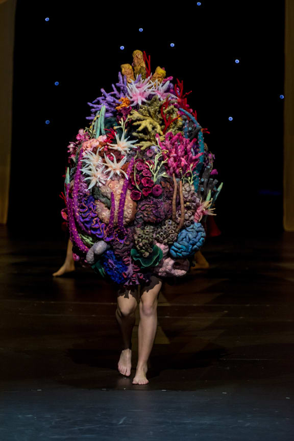 Dutch artist Saar Snoek took out the Aotearoa Section award with 'Human Nature'