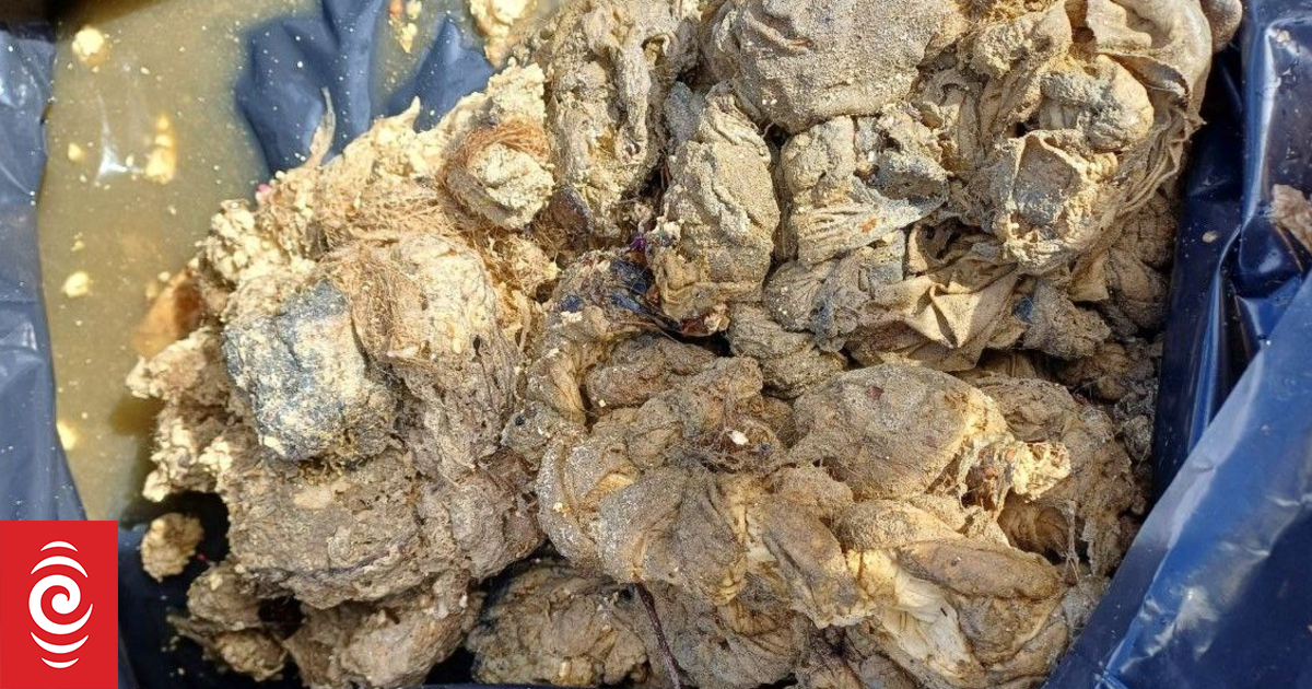 Wipes and rocks wreak havoc on Tasman’s wastewater