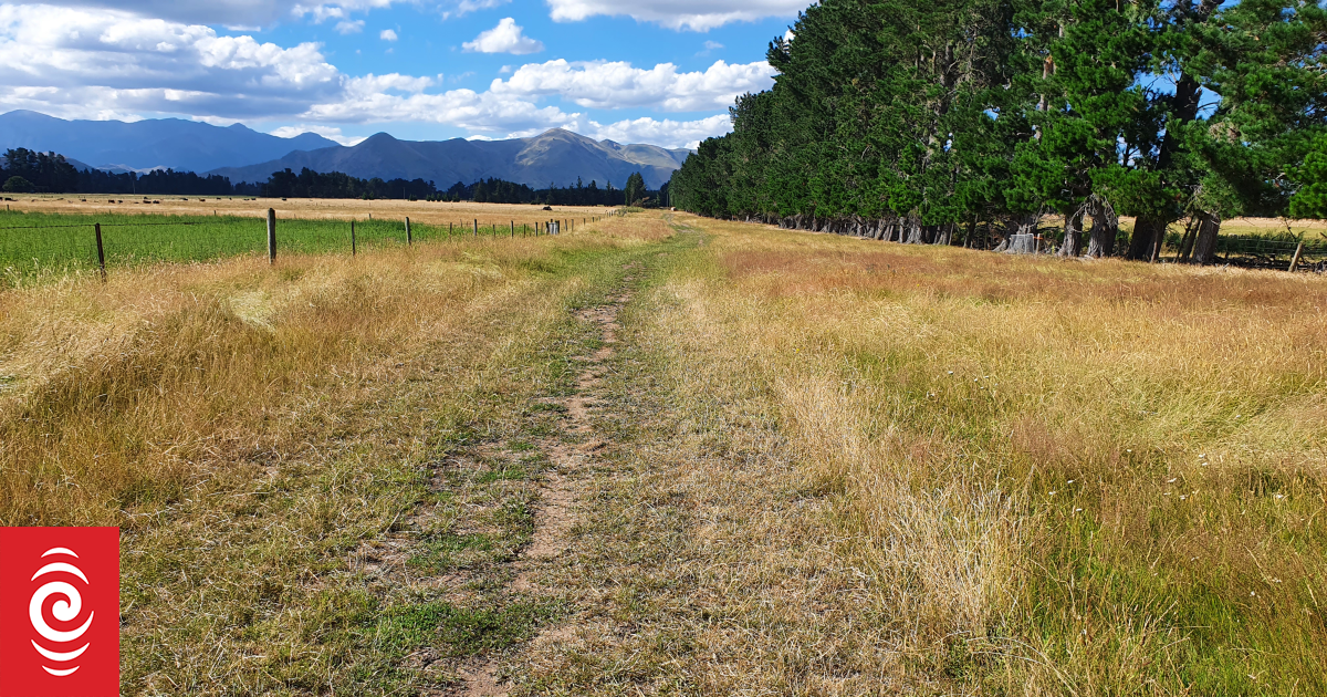 NZ is full of paper roads, but what are they and how can you find them?