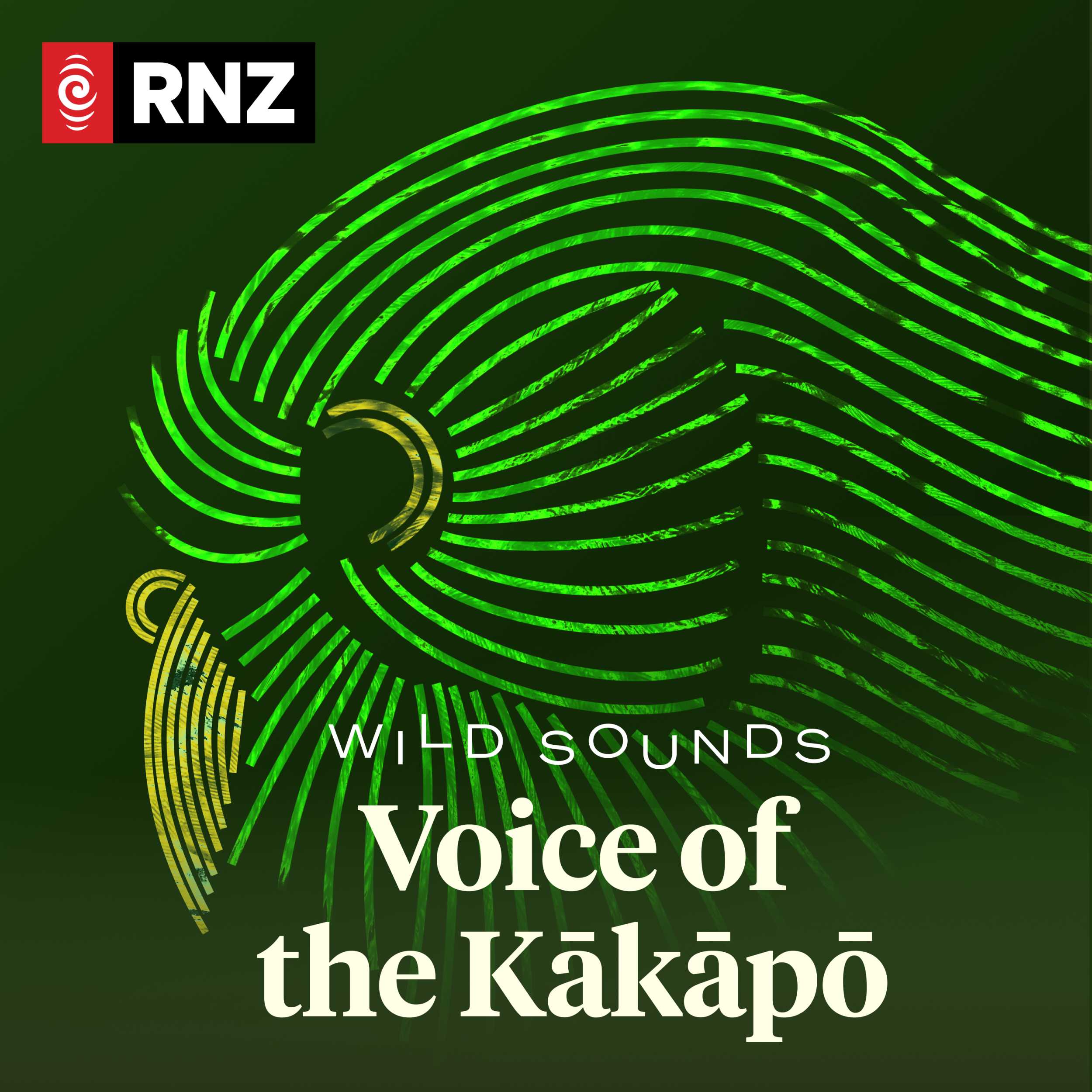 Voice of the Kākāpō 07 | Dark days