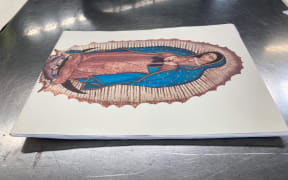 Methamphetamine concealed in a steel plate compactor
