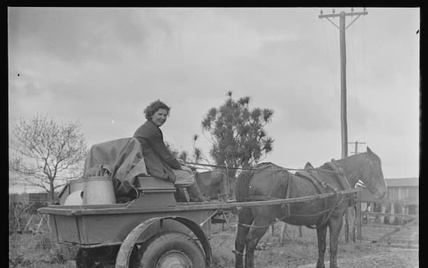 Miss Lampshire and her horse-drawn herd testing wagon