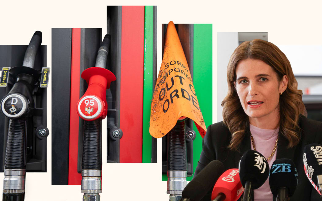 Focus on Politics: Composite of Nicola Willis and fuel pumps.