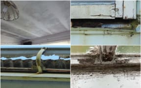 The Porirua rental house was described as "not fit for human occupation" by a weathertight assessor.