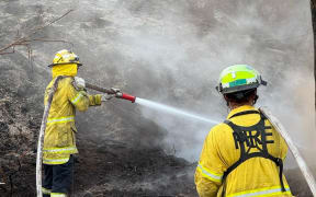 Firefighters dampen down one of the last hotspots at the Waipoua fire. Photo: Supplied/FENZ