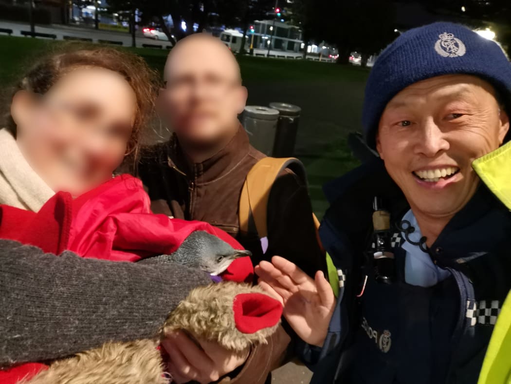 Constable John Zhu took the penguins back to the harbour.