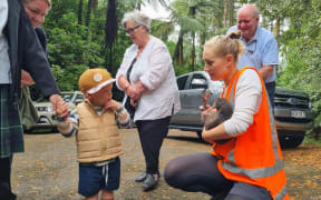 Two-year-old Jack Goodin has his first ever encounter with a kiwi.
