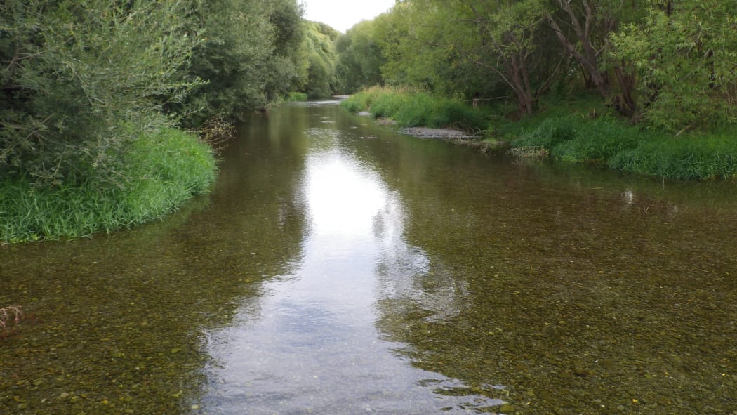 Selwyn River