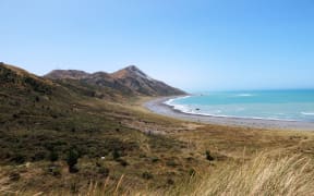 Marlborough District Council is looking to ban vehicles from 45km of the region's east coast.