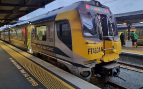 Trains at Wellington Station are suspended after a mass signal fault.