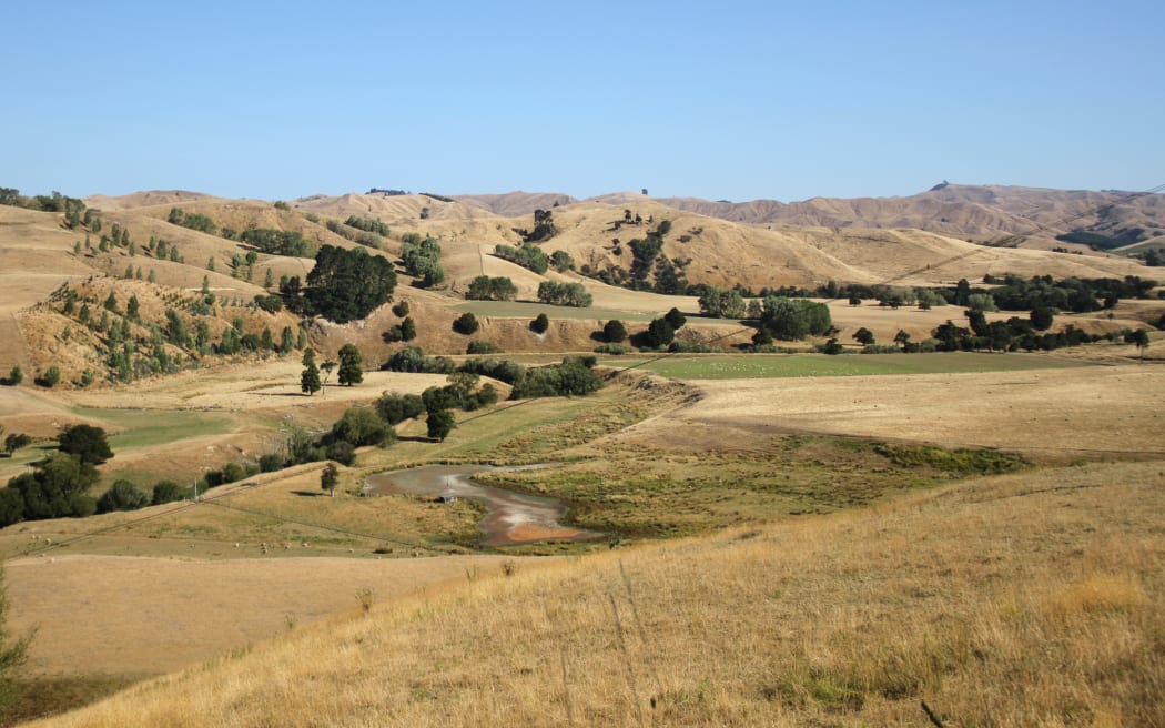 Dry conditions east of Masterton.