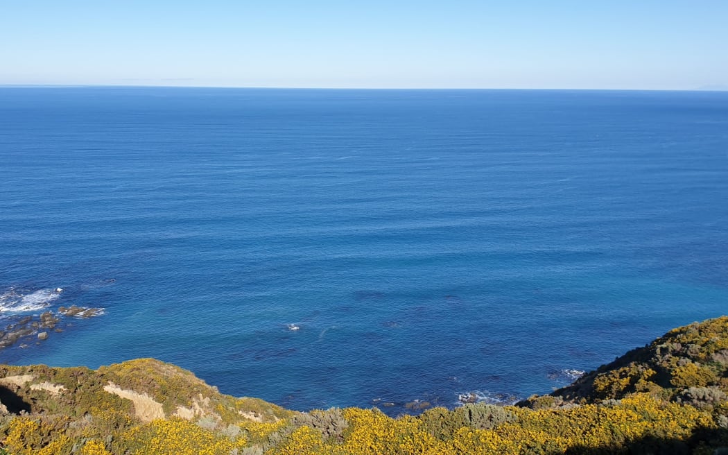 from south coast of Wellington