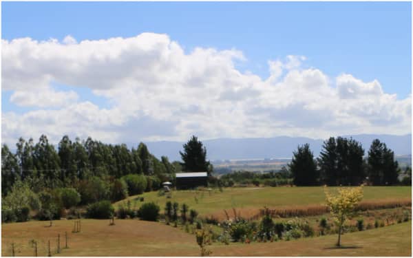 The house has spectacular views across Lake Wairarapa to the Tararua ranges beyond.