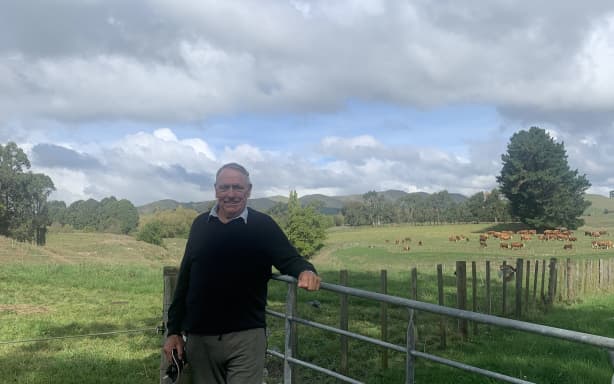 Country Life: Simmental cattle breeder Tony Thompson's life of legacy | RNZ