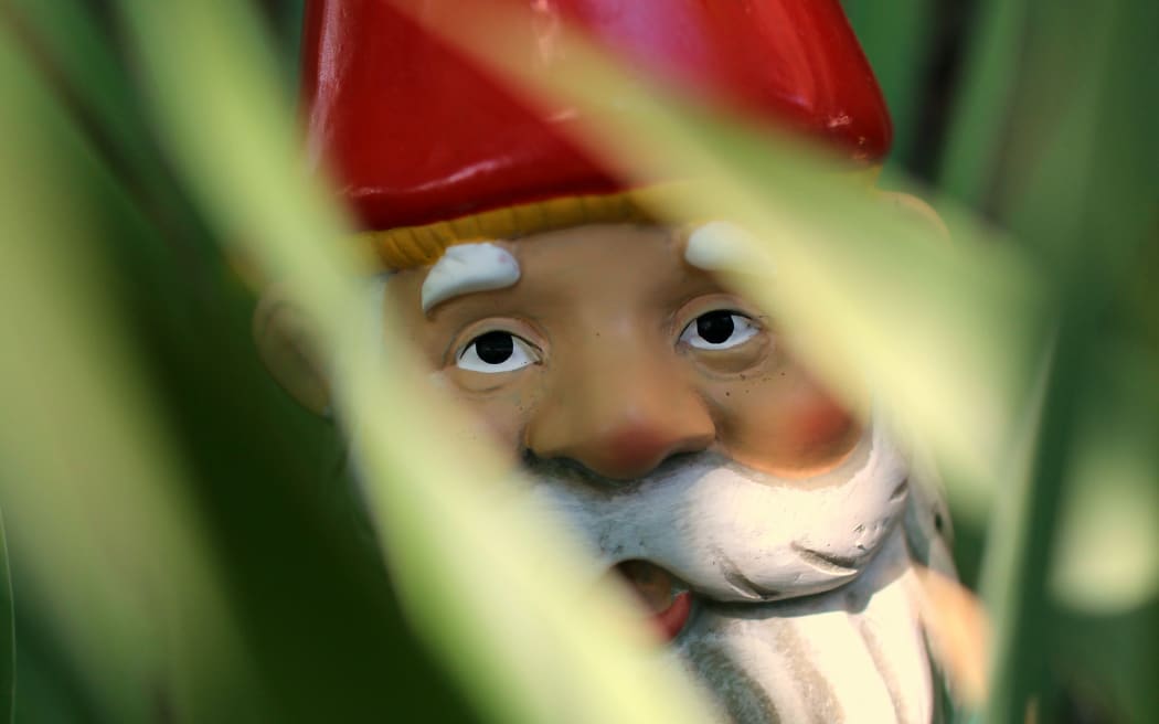 Close-up of a garden gnome in grass