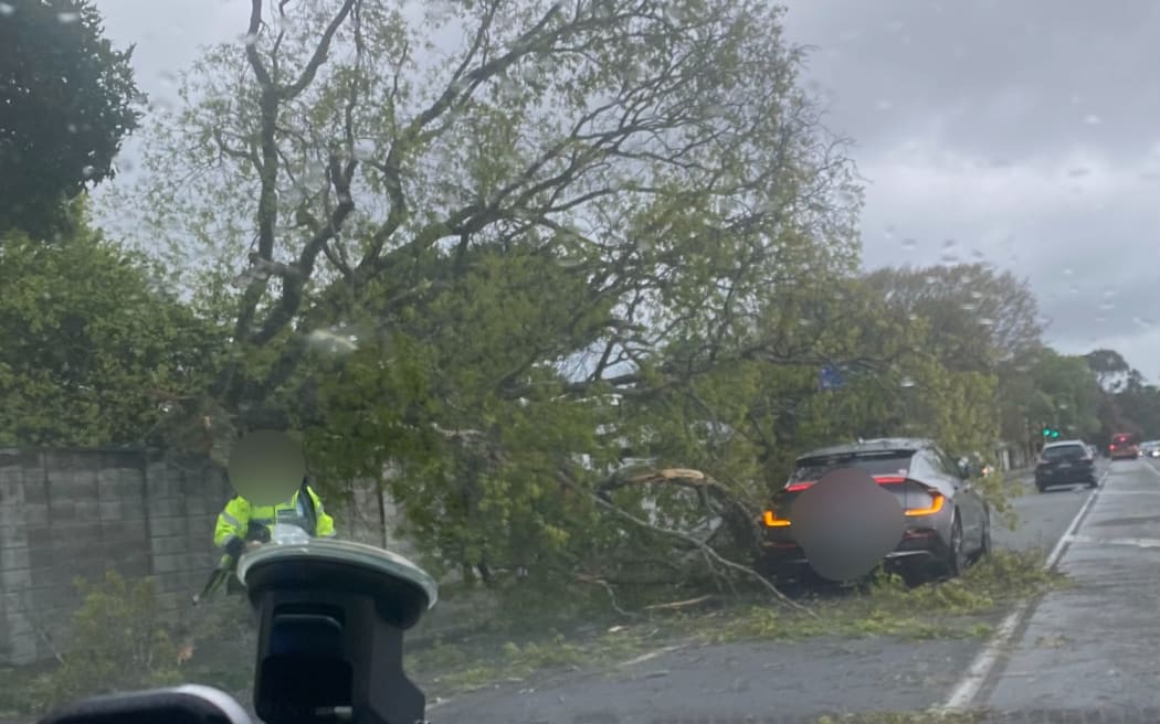 Photos of a tree that has fallen on a car in Fergusson Dr in Upper Hutt.
Credit as supplied