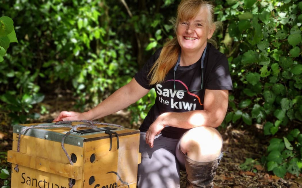 Helen McCormick is from Gallagher Kiwi Burrow, a specialist kiwi incubation centre which releases most of their chicks onto Sanctuary Mountain Maungatautari to grow before being relocated.