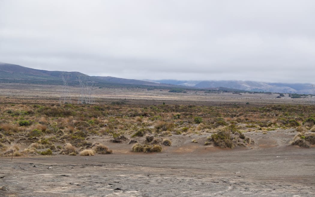 It is believed Nicholas Pike was killed in a remote location off the Desert Road.
