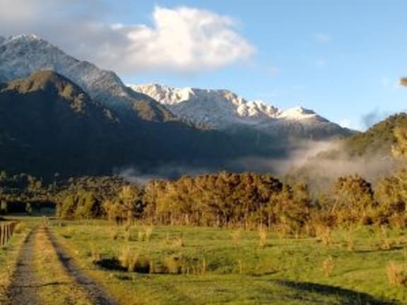 Waininihi Valley - dairy grazing on the edge of DOC administered reserve land in the Big Waininihi River Valley in Westland.