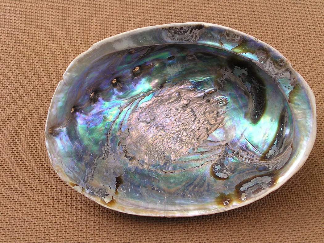 Pāua shell