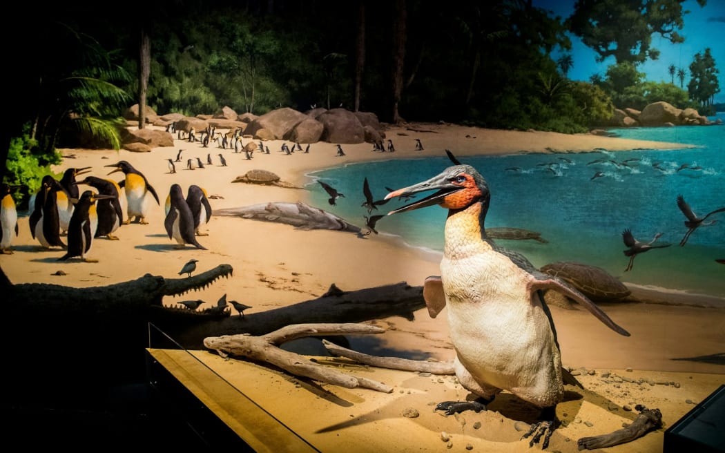 An artistic representation of a North Canterbury beach some 62 millions years ago. Canterbury Museum and Tom Simpson