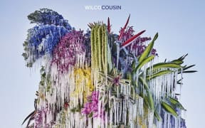 Wilco's new album Cousin, out September 29.