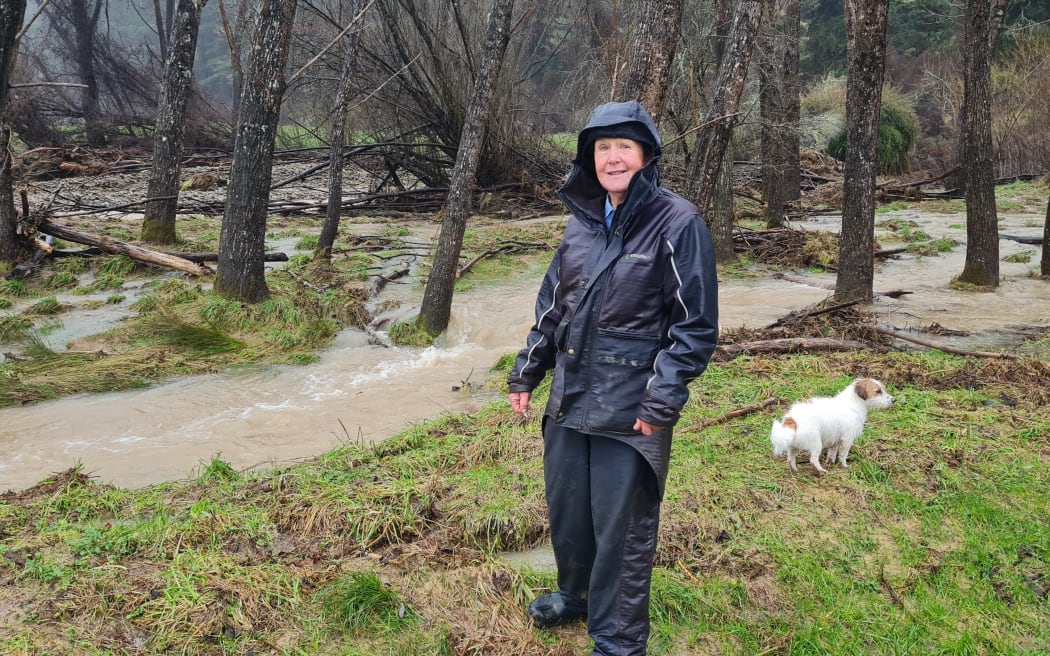 Cosmo - from his story about the Tasman Floods