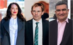 Wellington mayoral candidates Tory Whanau, Andy Foster and Paul Eagle.