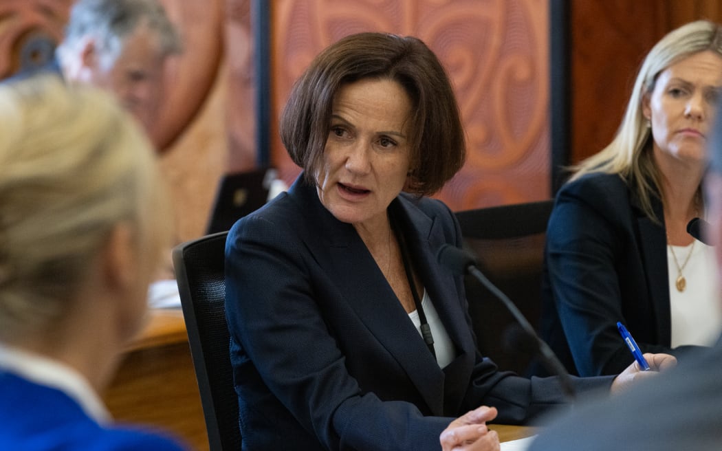 National Party MP Suze Redmayne in select committee.