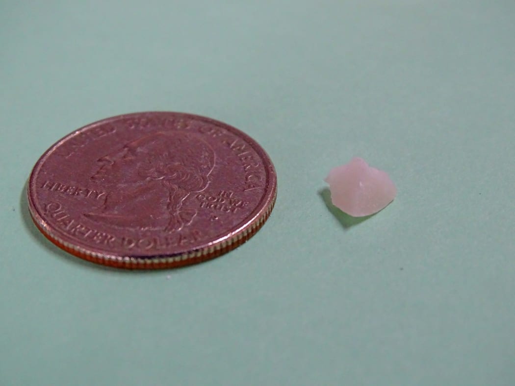 Crack cocaine "rocks" can be purchased on the street in Majuro for $US5. An approximately one-gram rock is shown next to a coin