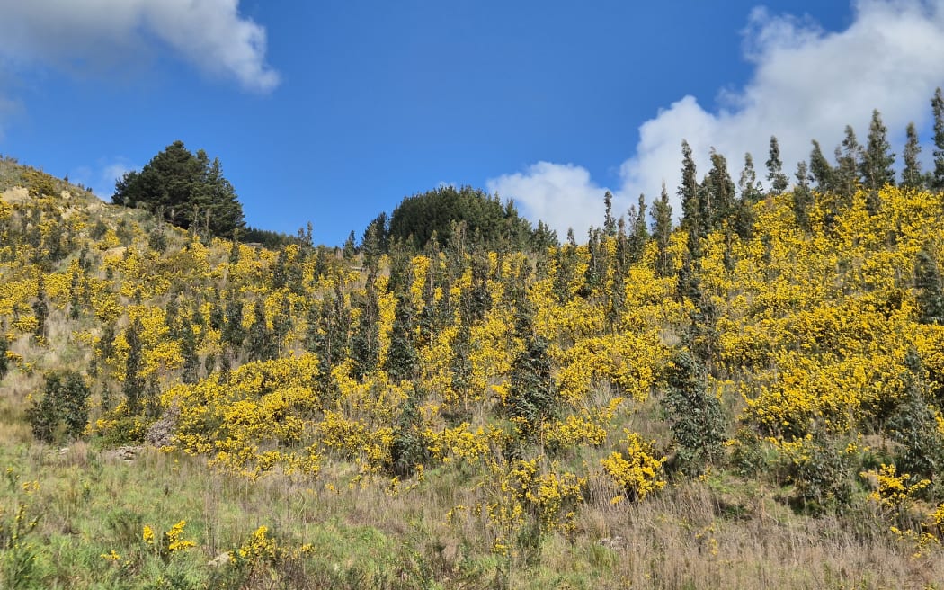 Many of the trees on the farm were planted in 2022 and 2023.