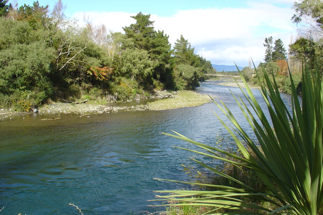Water New Zealand wants more council cooperation with iwi.