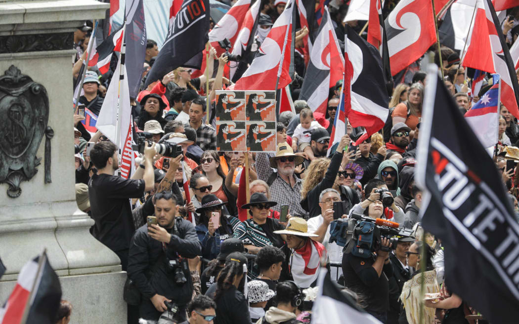 The Hīkoi mō te Tiriti arrives in Parliament grounds on 19 November 2024.