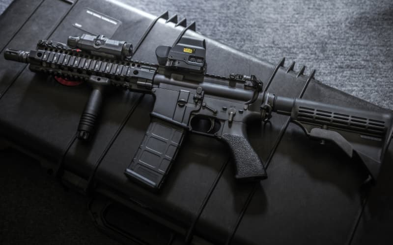 Fish and Game supports banning military style semi-automatic guns | RNZ