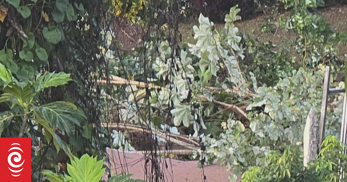 Four bodies retrieved following major landslide in Tahiti