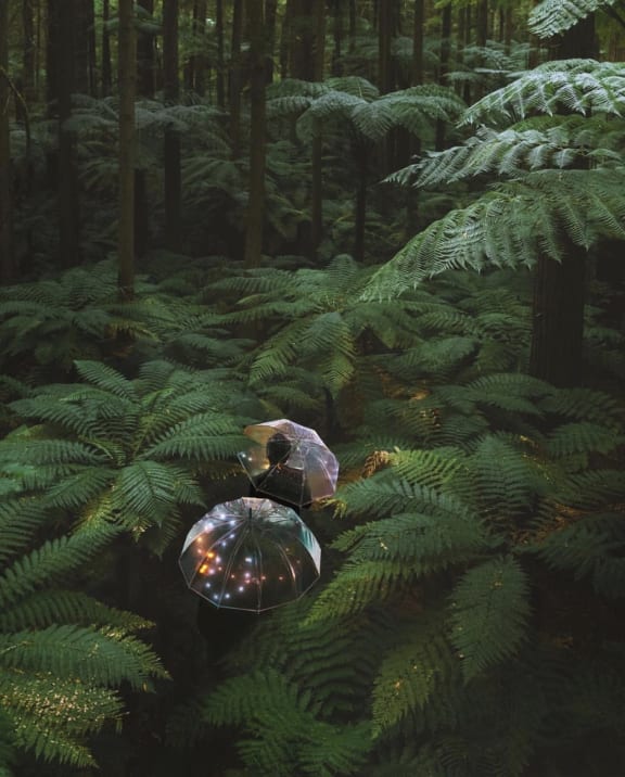 Jenny Gao's Canopy of Dreams captured her audiences imagination