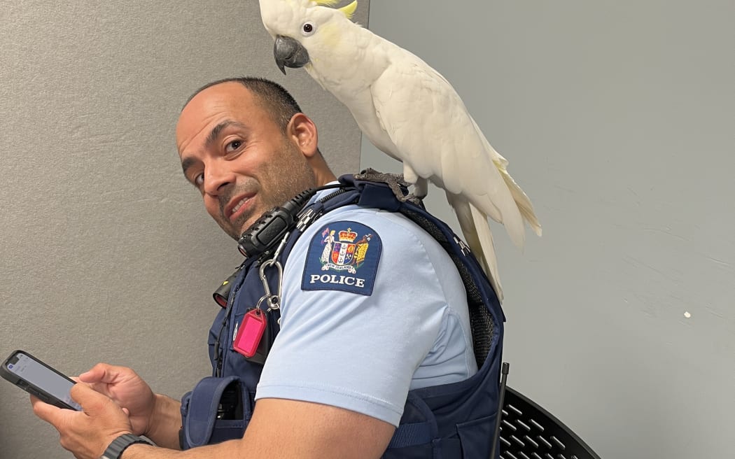 Constable Tushar and Pepper at the Porirua Police Station.
