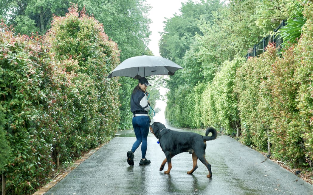 Summer Wong, a full-time pet sitter and dog walker in central Auckland.