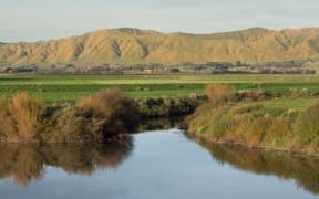 A stream near Shannon in Manawatu, which flows into the Manawatu River.