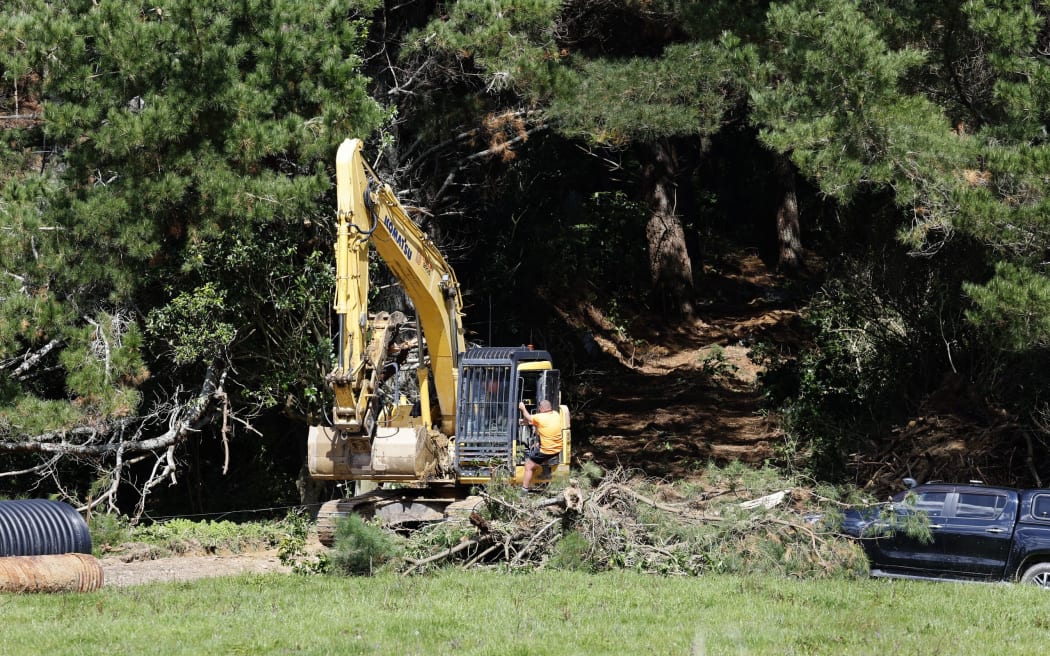 Harvesting trees on Queen Charlotte Dr - single use only